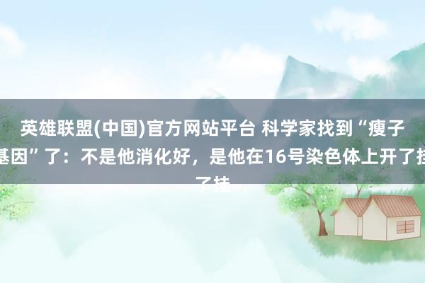 英雄联盟(中国)官方网站平台 科学家找到“瘦子基因”了：不是他消化好，是他在16号染色体上开了挂